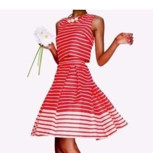 Taylor Red/Cream Striped Fit & Flare Knee Length Cocktail Wedding Party Dress 14